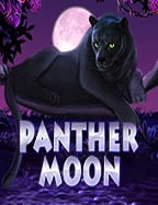 ความลับของสล็อต โร ม่า ฝาก ถอน ไม่มี ขั้น ต่ํา5 ที่คุณต้องรู้